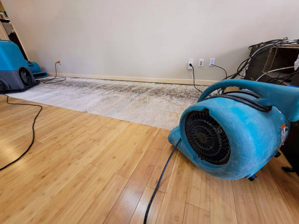 Professional Water Removal technician working in Valley Center, CA